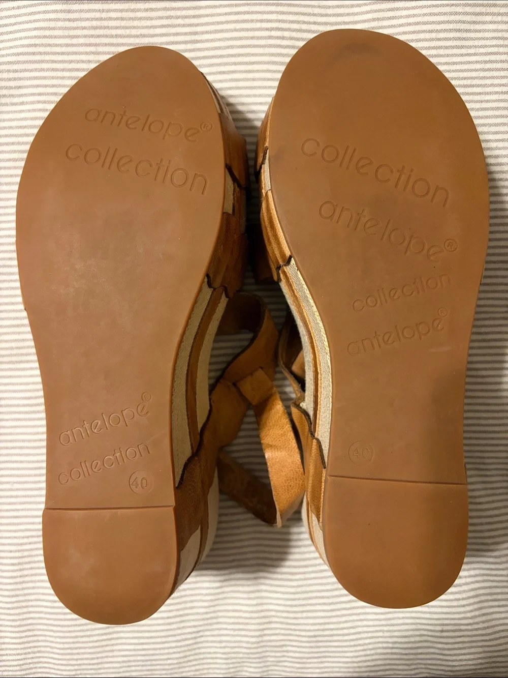 Antelope elevate your